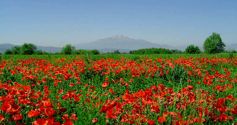 photo "Farewell Kosovo!" tags: travel, landscape, Europe, mountains