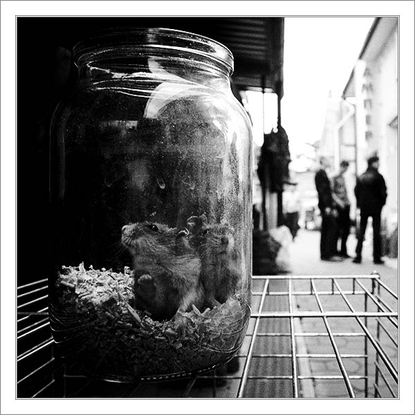 photo "at a glass..." tags: genre, black&white, 