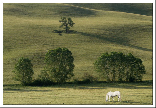 photo "Toscana 2002" tags: landscape, summer
