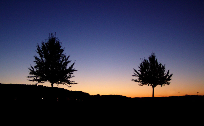 photo "***" tags: landscape, nature, flowers, sunset