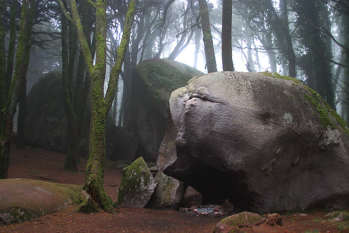 photo "The Screaming Fish" tags: landscape, nature, forest, wild animals