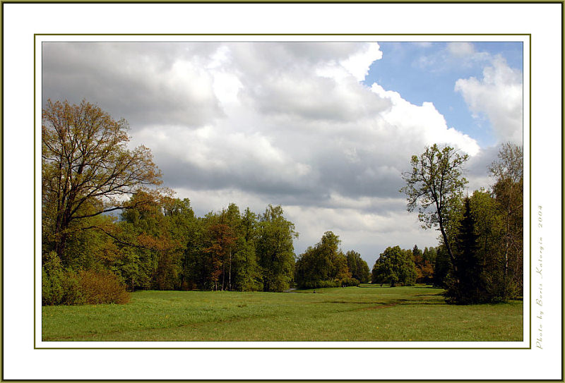 photo "Summer etude-4" tags: landscape, forest, summer