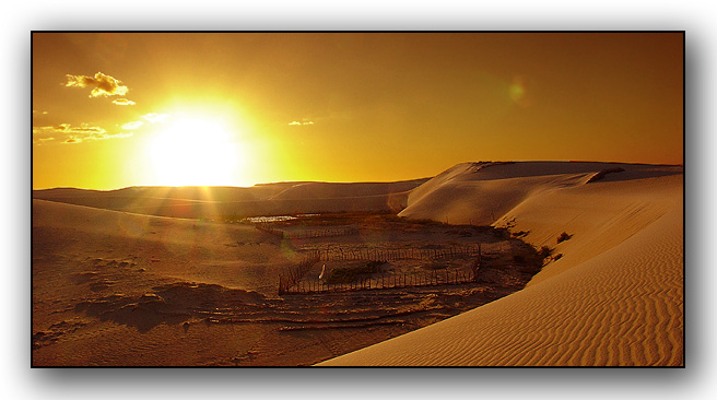 photo "Dunes and Sun" tags: misc., 