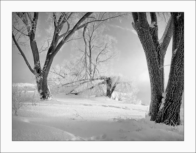 photo "Nostalgic etude" tags: black&white, landscape, winter