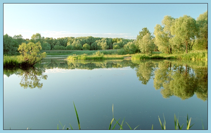 photo "Serebryanniy Bor" tags: landscape, summer, water