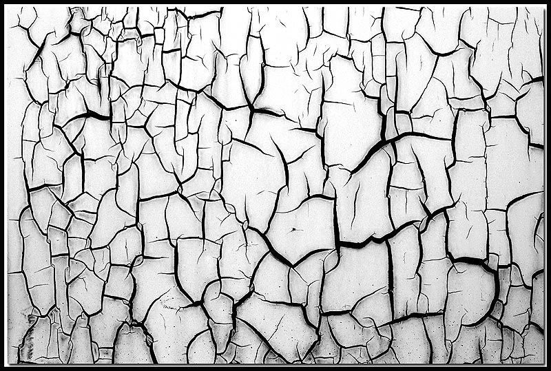 photo "Mosaic" tags: abstract, 