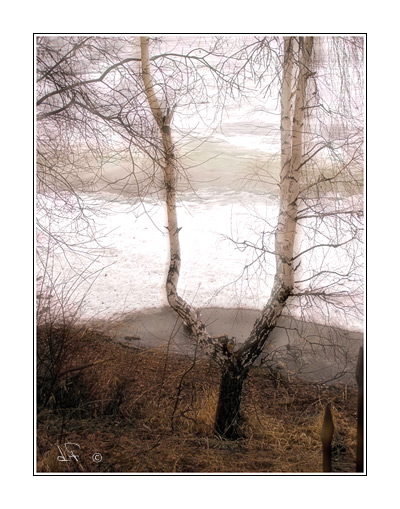 photo "the spring tunes" tags: landscape, spring
