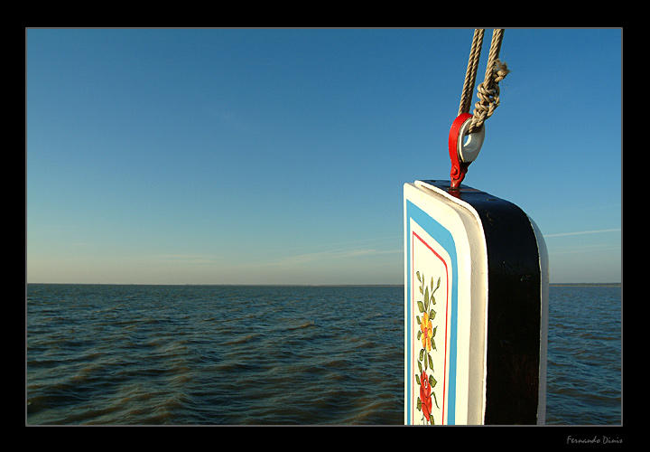 photo "Sailing to the prow" tags: landscape, water