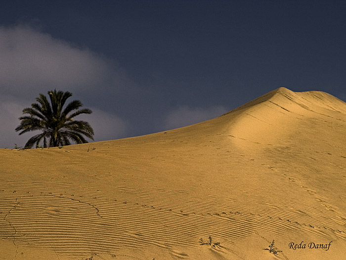 фото "Dunes 3" метки: путешествия, пейзаж, Африка