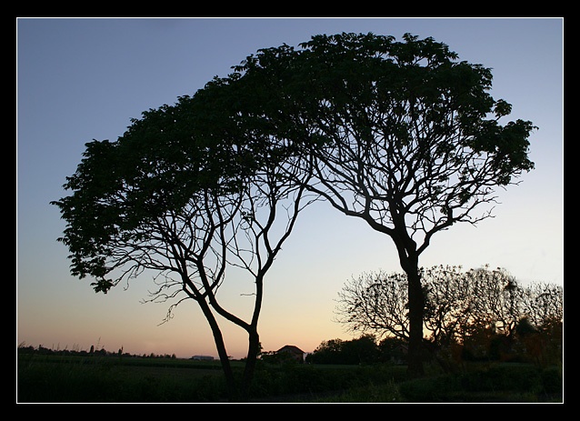 photo ""Africa"" tags: landscape, sunset