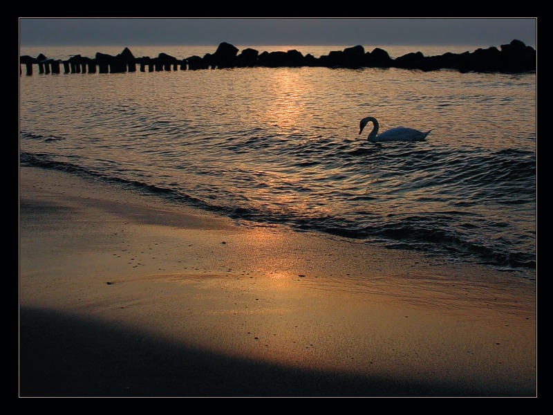 photo "Loneliness..." tags: landscape, sunset, water