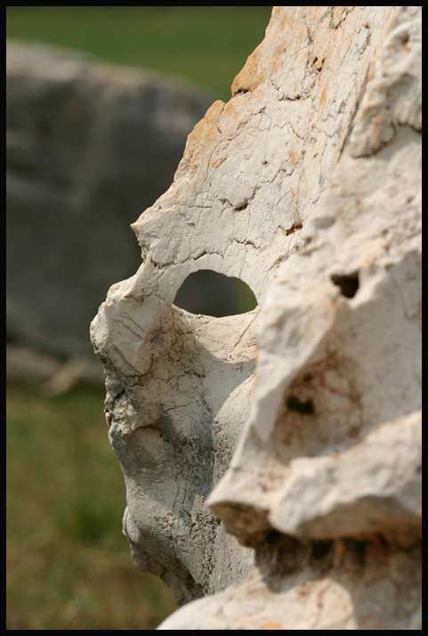 photo "The Stone. Part 1: Venetian Mask" tags: nature, travel, Europe