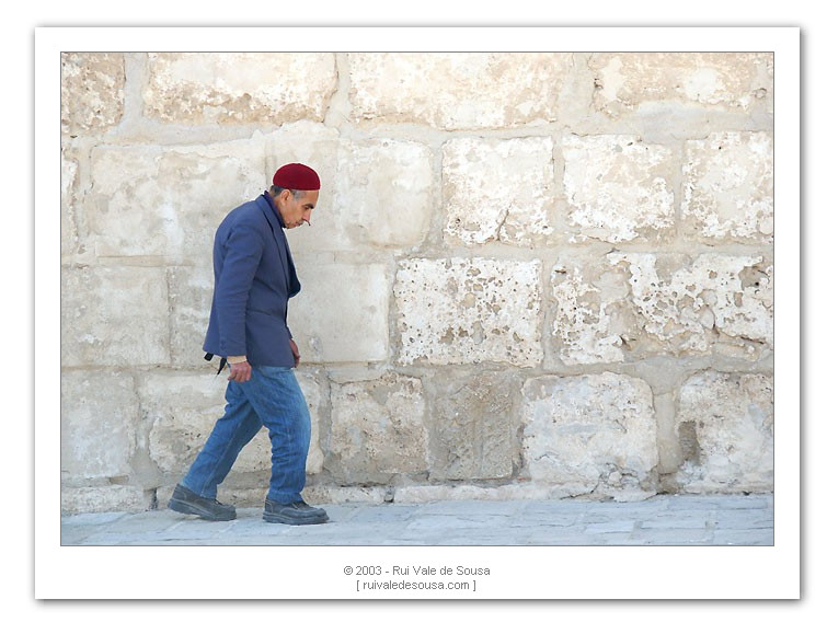 photo "walking contradiction" tags: misc., 
