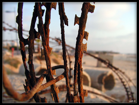 photo "Border-line" tags: genre, abstract, 