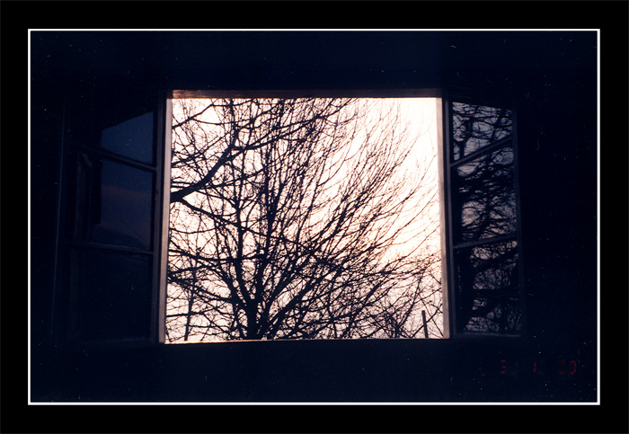 photo "Linux :-)" tags: still life, misc., 