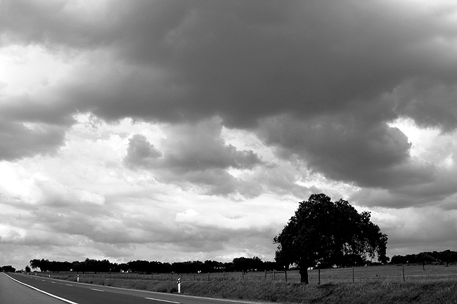 photo "the long empty way" tags: black&white, 