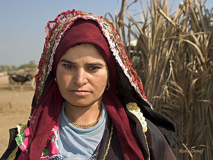 photo "Gipsy woman 5" tags: travel, portrait, Africa, woman