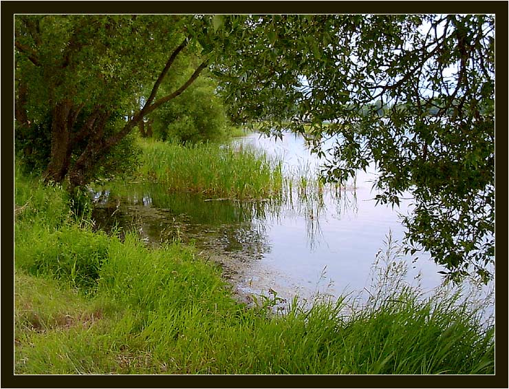 photo "the lake2" tags: landscape, nature, water