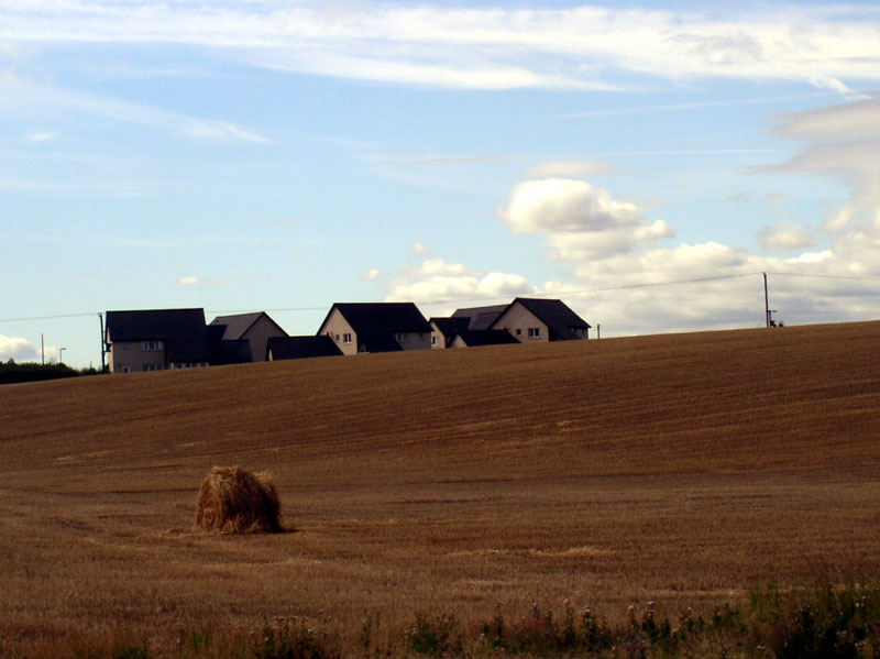 photo "Feel of Fall" tags: landscape, nature, summer