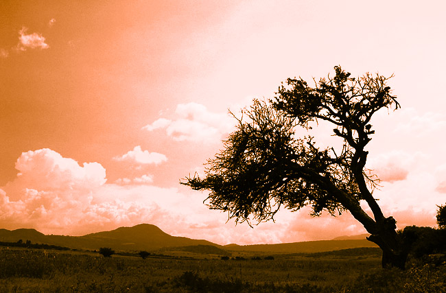 photo "***" tags: landscape, 