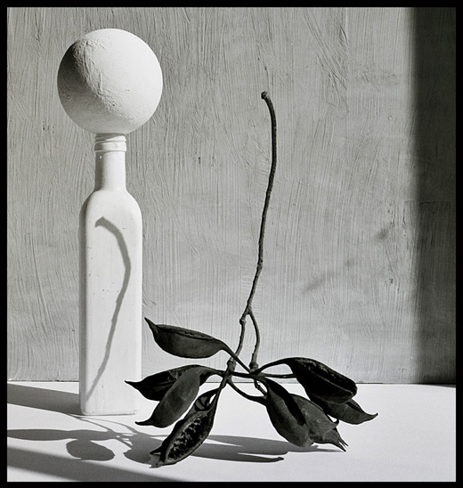 photo "botlleball" tags: black&white, still life, 