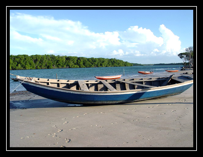 фото "Macapa Beach, Piaui, Brazil" метки: путешествия, пейзаж, Южная Америка, вода