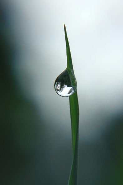 photo "Monument" tags: macro and close-up, 