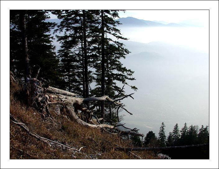 photo "Dead Tree" tags: landscape, clouds, mountains