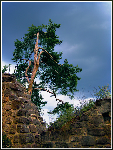 photo "Above a precipice" tags: travel, Europe