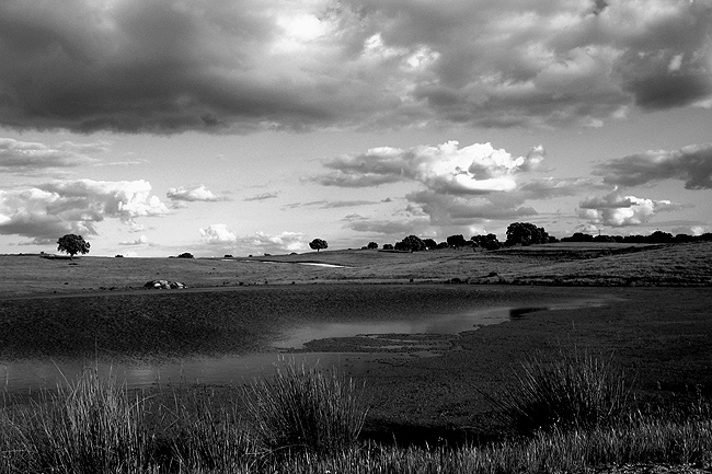 photo "the vastness" tags: black&white, 