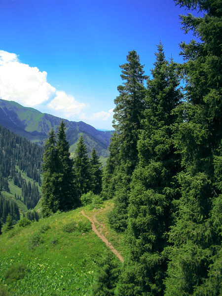 photo "Footpath" tags: landscape, mountains