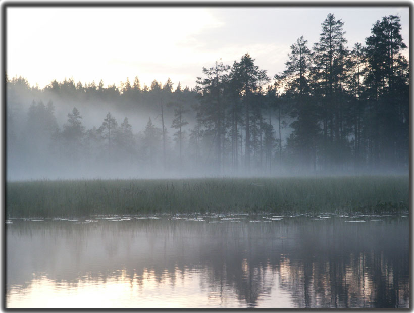 фото "Туман" метки: пейзаж, вода, лес