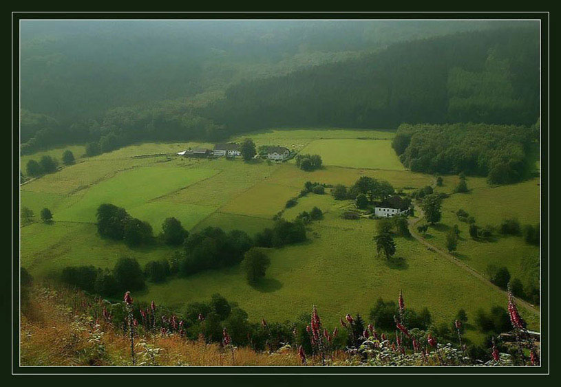 фото "The pasture land 2" метки: пейзаж, лето