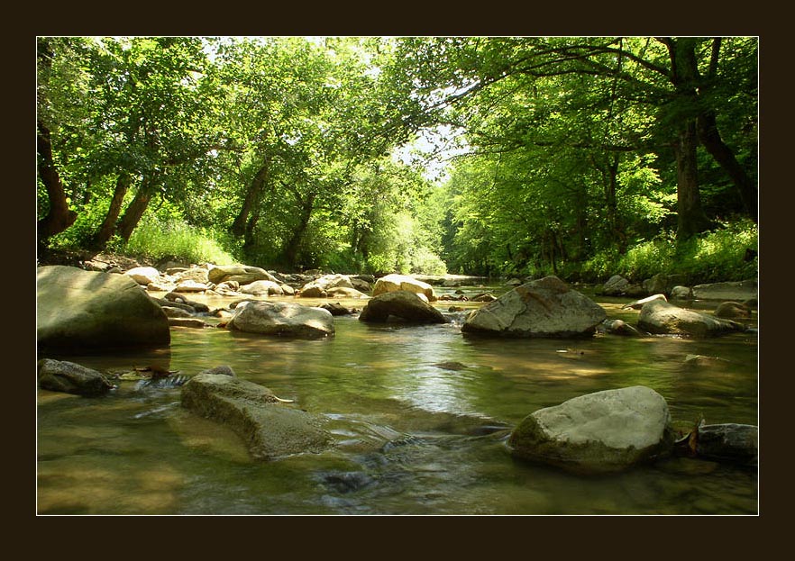 фото "Речушка" метки: пейзаж, вода, лес