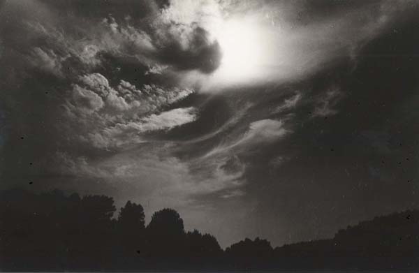 фото "Midnight" метки: , 