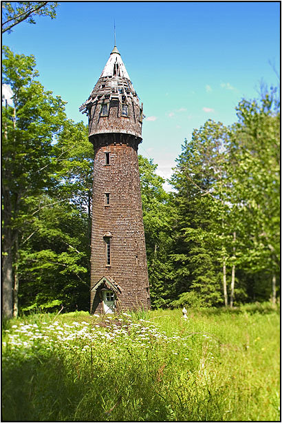 фото "Странная башня" метки: архитектура, пейзаж, лес