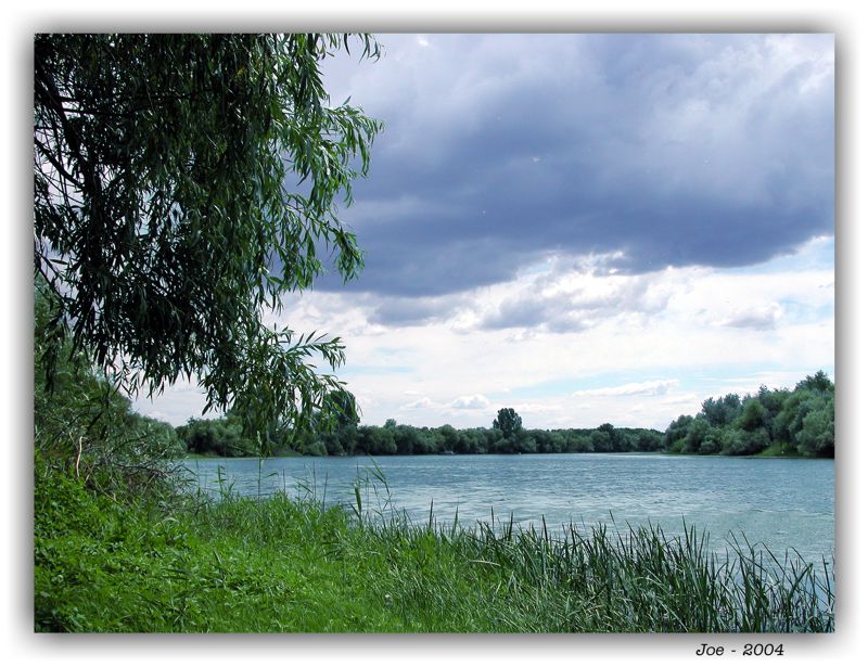 photo "***" tags: landscape, summer