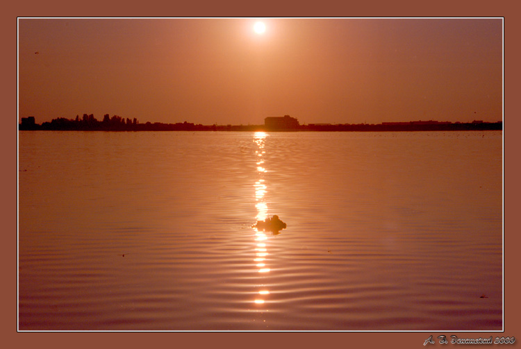 photo "Before sunset gold..." tags: landscape, sunset