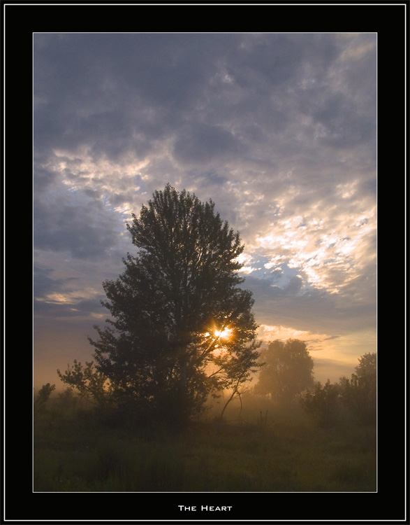 фото "Сердце" метки: пейзаж, закат, лето