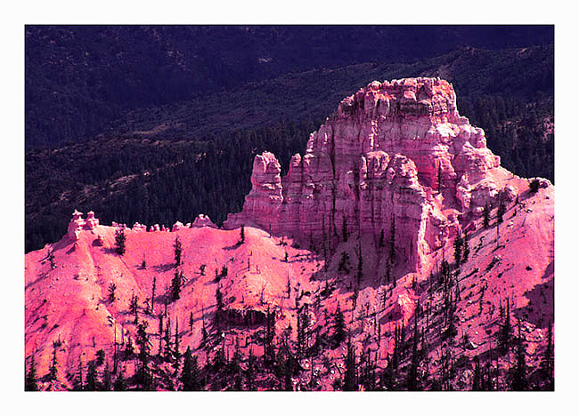 photo "The pink colors of Bryce Canyon" tags: travel, North America