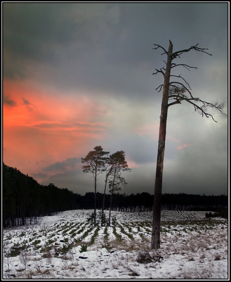 photo "Before rain" tags: nature, 