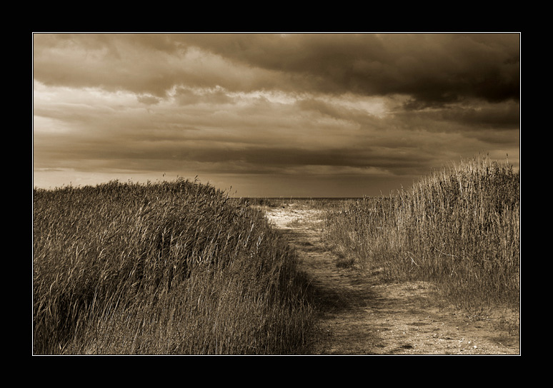 photo "Way to sea" tags: nature, landscape, clouds