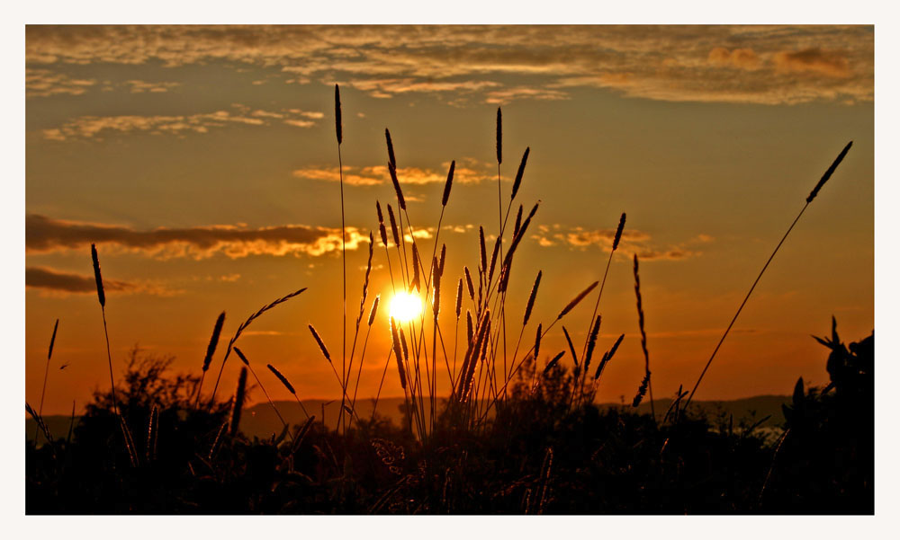 фото "Summer evening on Dragvoll" метки: пейзаж, лето