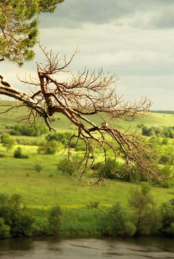 photo "Untitled photo" tags: nature, abstract, 