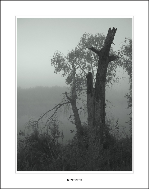 photo "Epitaph" tags: black&white, landscape, summer