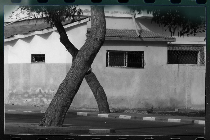 фото "x-tree" метки: черно-белые, архитектура, пейзаж, 