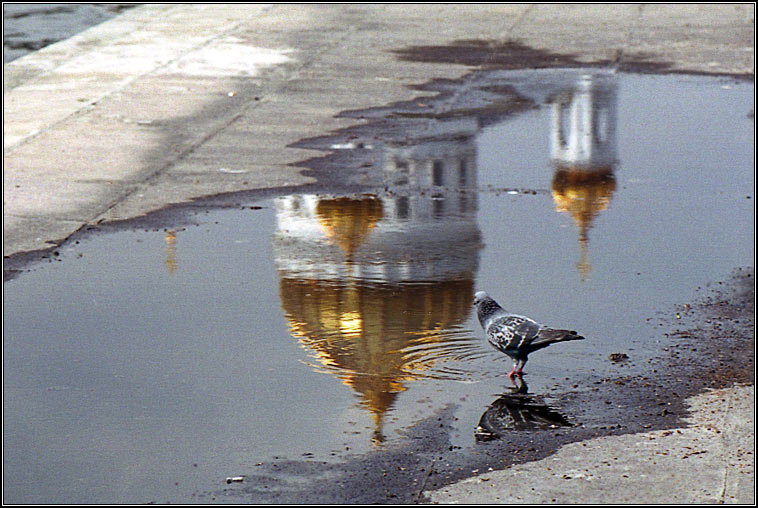 фото "Моя Москва" метки: разное, 