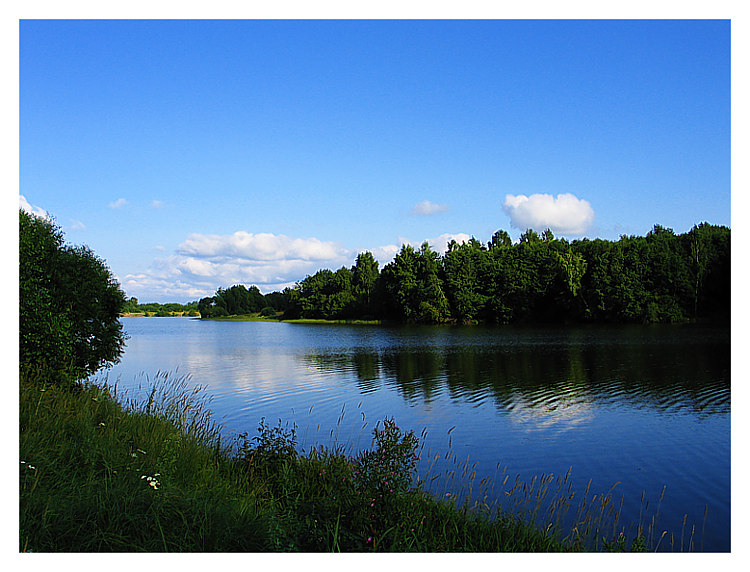 photo "Summer evening" tags: landscape, summer, water