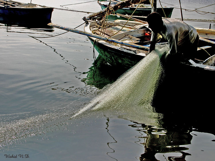 фото "Fishing net" метки: разное, 