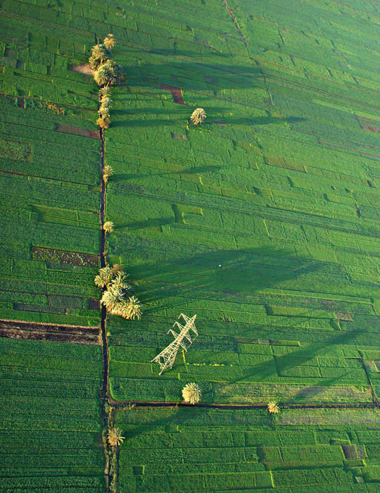 photo "From above" tags: landscape, summer, sunset